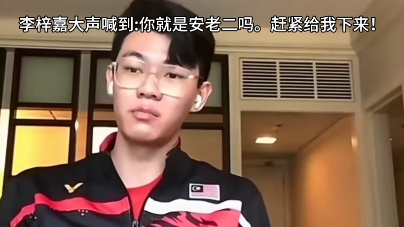 德国队横扫马来西亚队,李梓嘉扛起全队 德国队横扫马来西亚队,李梓嘉扛起全队